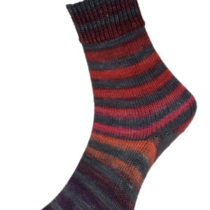 Woolly Hugs - Paint Socks 4f