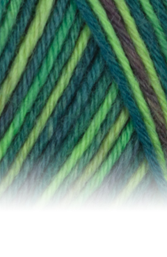 Atelier Zitron - Trekking 6 f color - 150 g – Bild 7