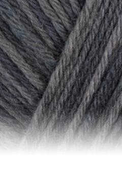 Atelier Zitron - Trekking 6 f color - 150 g – Bild 12