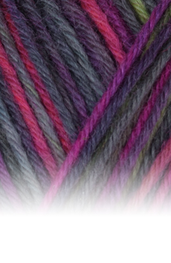 Atelier Zitron - Trekking 6 f color - 150 g – Bild 10