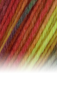 Atelier Zitron - Trekking 6 f color - 150 g – Bild 11